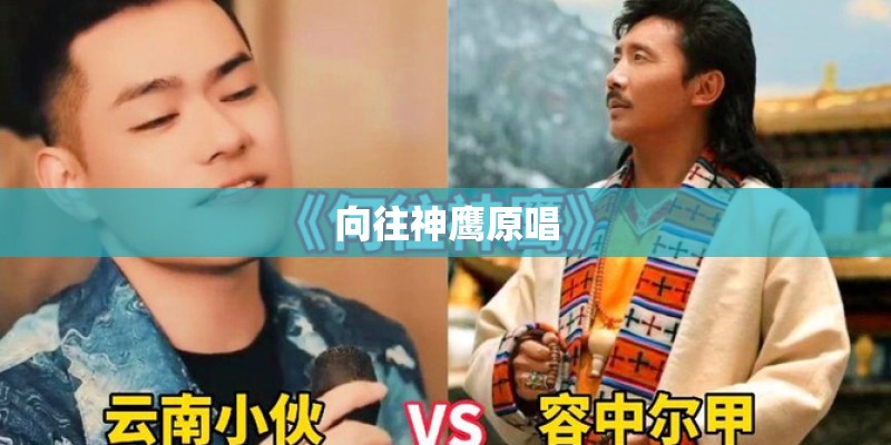 向往神鹰原唱