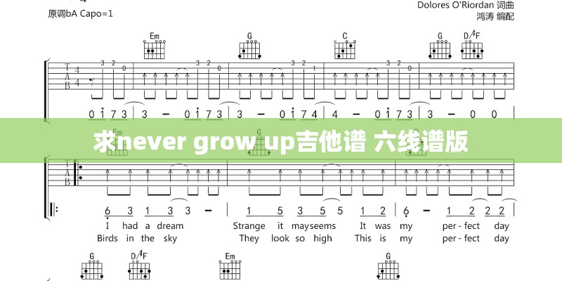 求never grow up吉他谱 六线谱版
