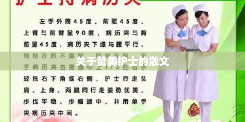 关于赞美护士的散文