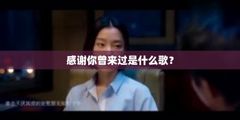 感谢你曾来过是什么歌？