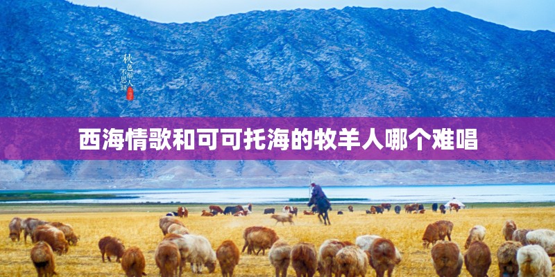 西海情歌和可可托海的牧羊人哪个难唱