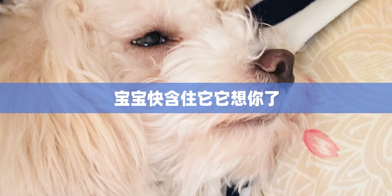 宝宝快含住它它想你了