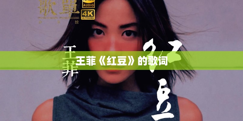 王菲《红豆》的歌词