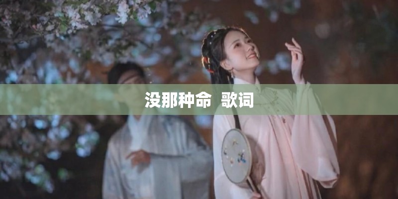 没那种命  歌词