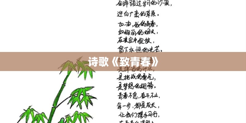 诗歌《致青春》