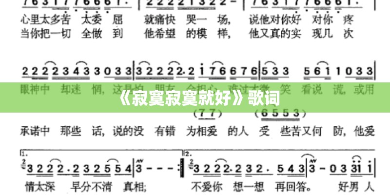 《寂寞寂寞就好》歌词 《寂寞寂寞就好》歌词