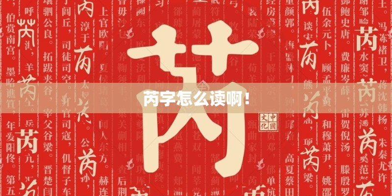 芮字怎么读啊！