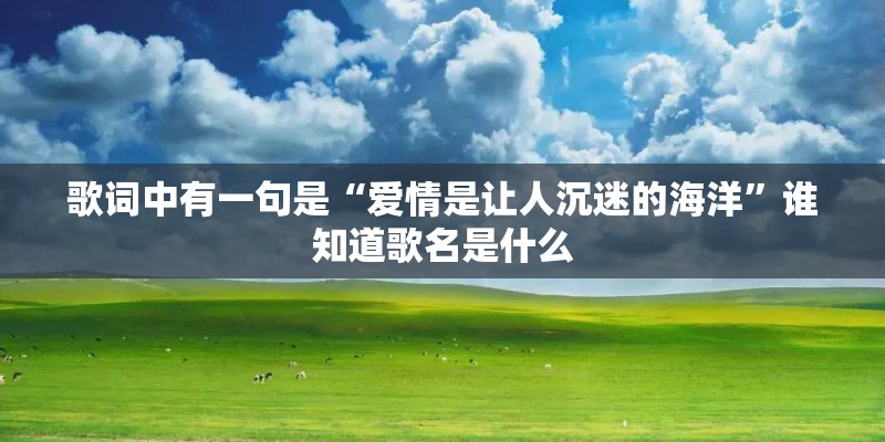 歌词回忆总想哭一个人太孤独 回忆总想哭一个人太孤独的出处