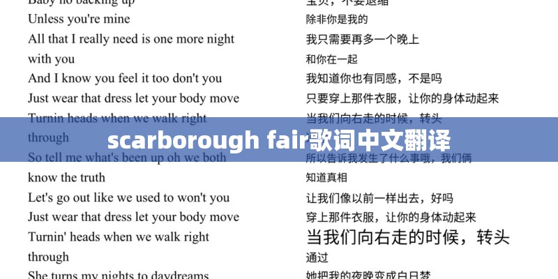 友谊之光原唱