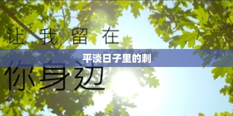 平淡日子里的刺