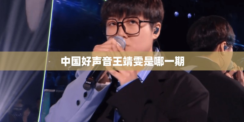 中国好声音王靖雯是哪一期