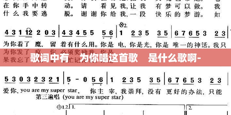 歌词中有　为你唱这首歌　是什么歌啊-