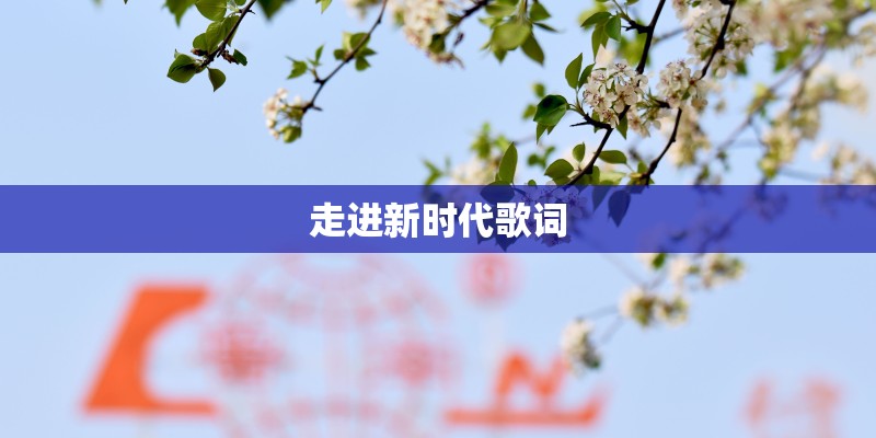 走进新时代歌词 走进新时代歌词