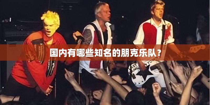 国内有哪些知名的朋克乐队？