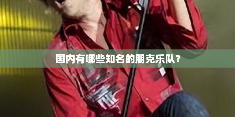 国内有哪些知名的朋克乐队？