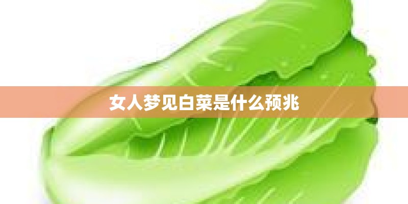 女人梦见白菜是什么预兆