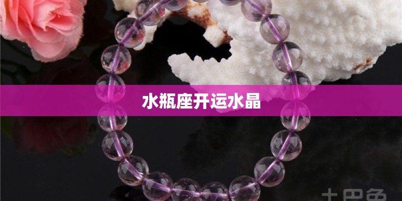 国内有哪些知名的朋克乐队？