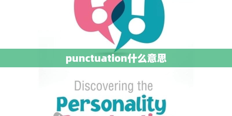 punctuation什么意思