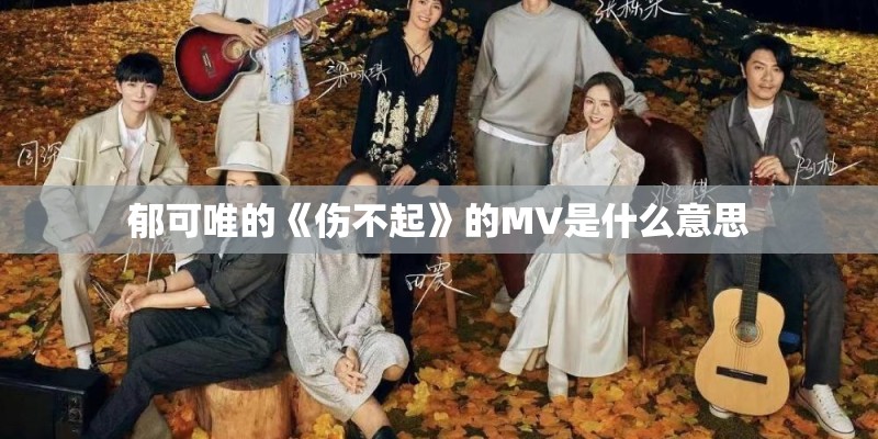 郁可唯的《伤不起》的MV是什么意思