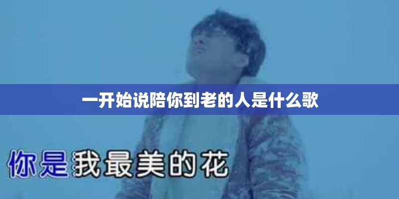 一开始说陪你到老的人是什么歌