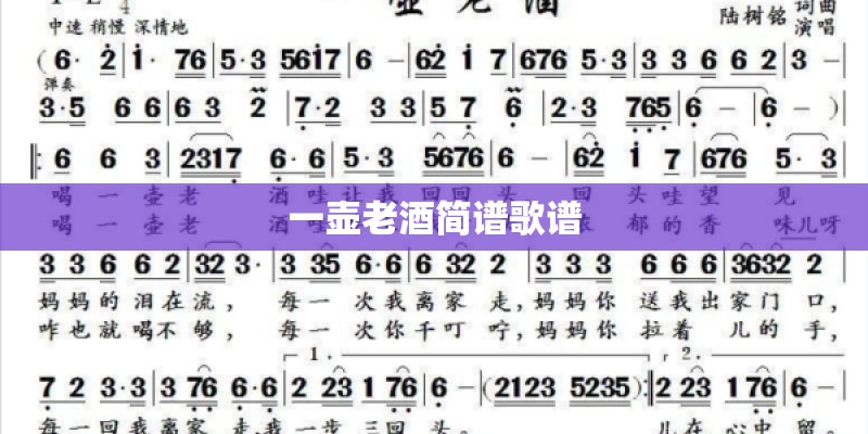 网名测试