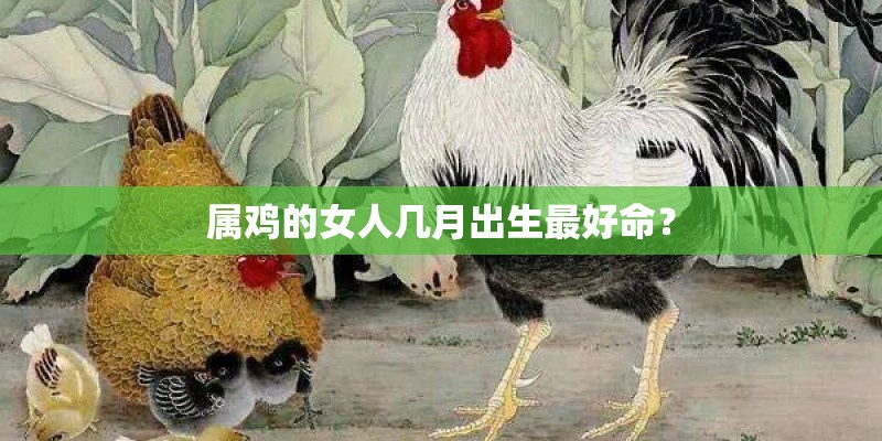 梦见被箭射