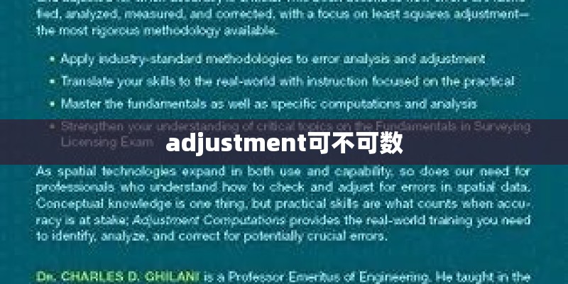 adjustment可不可数
