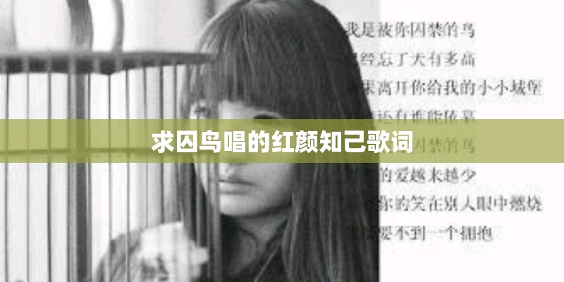 求囚鸟唱的红颜知己歌词
