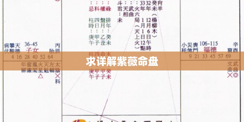 求详解紫薇命盘