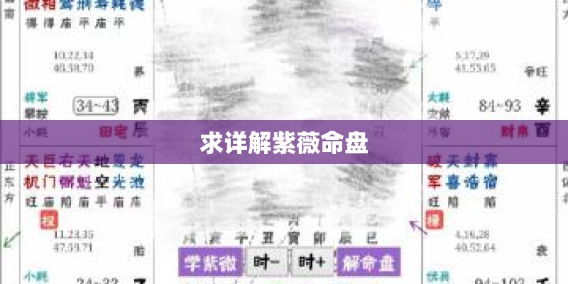 求详解紫薇命盘
