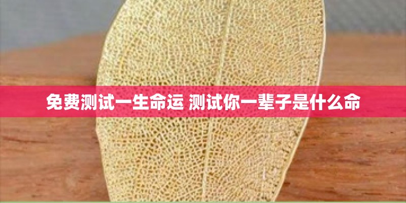 免费测试一生命运 测试你一辈子是什么命