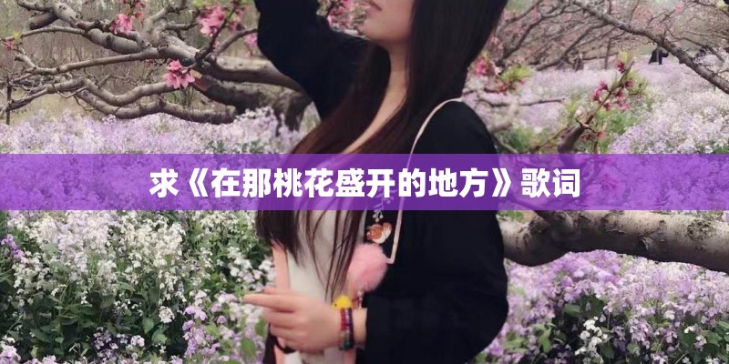 阴历和阳历哪个大