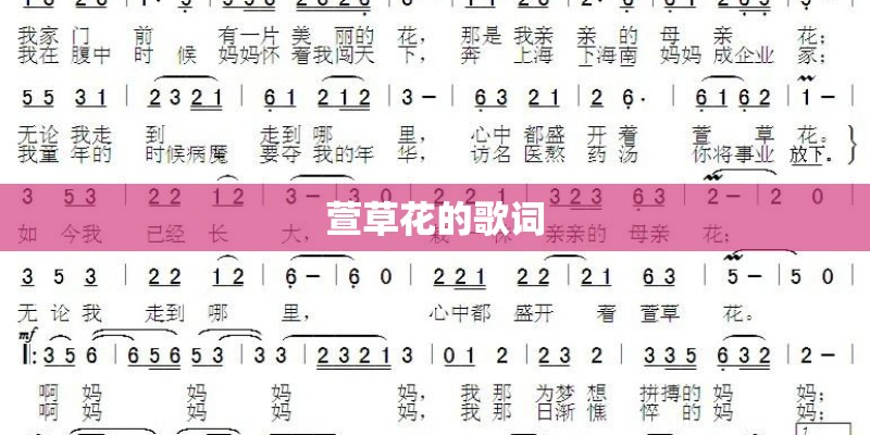 萱草花的歌词