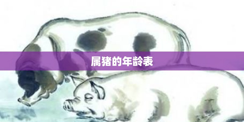 属猪的年龄表