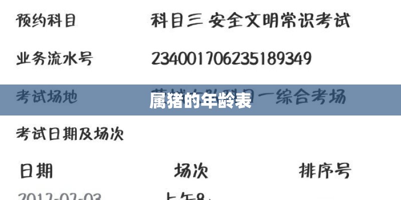 属猪的年龄表
