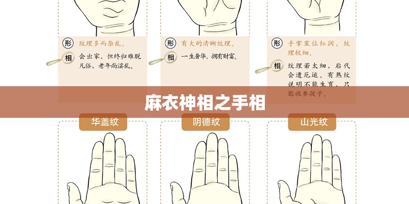 麻衣神相之手相