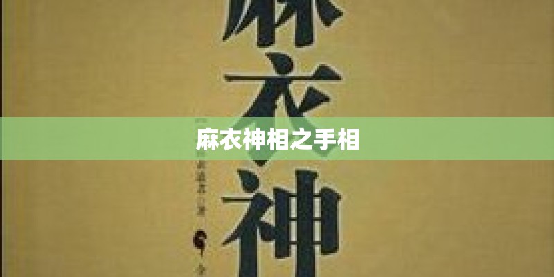 麻衣神相之手相