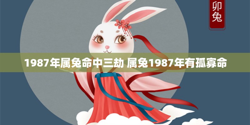 1987年属兔命中三劫 属兔1987年有孤寡命